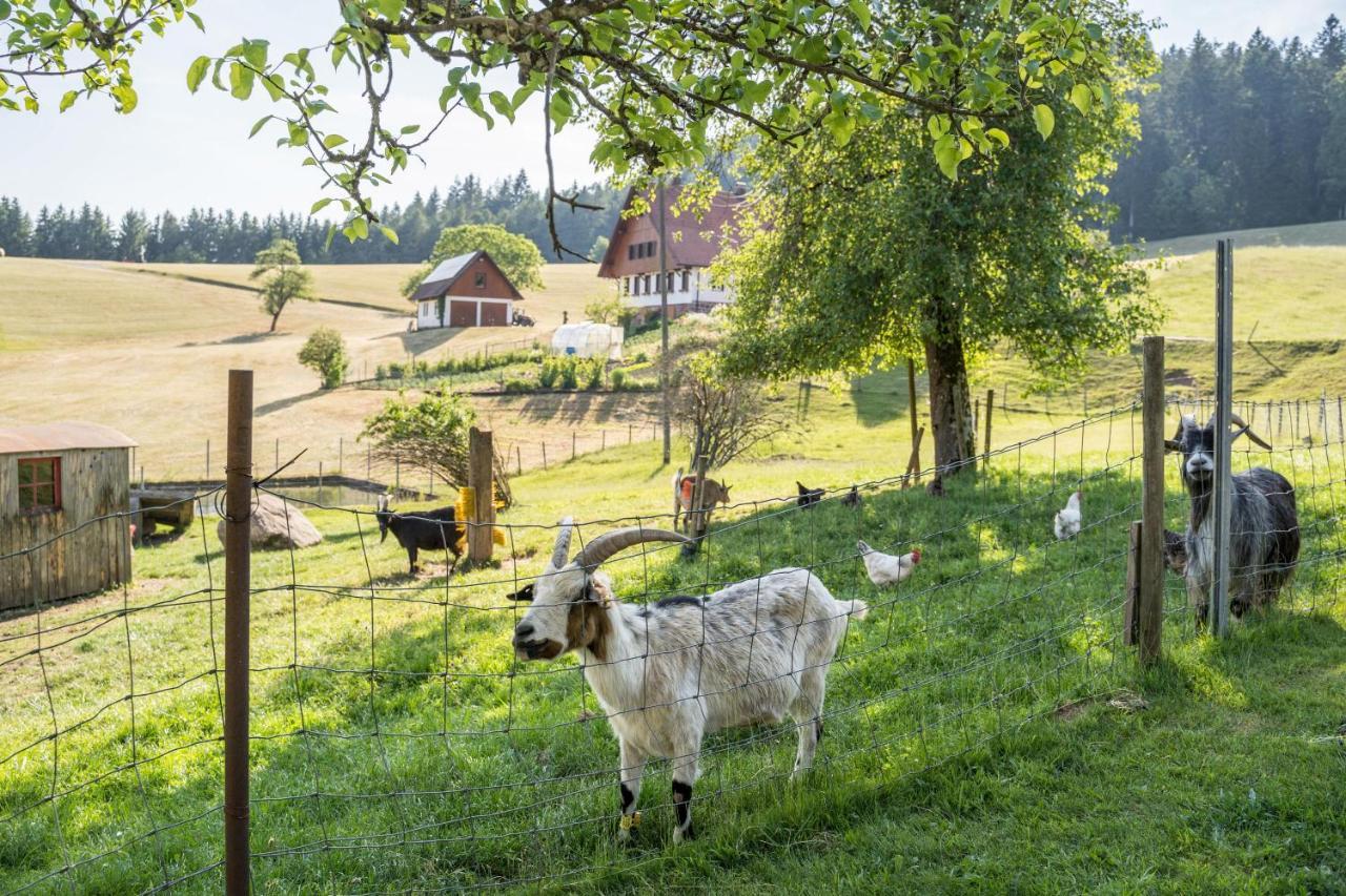 Klausenhansenhof Wolfach Kültér fotó